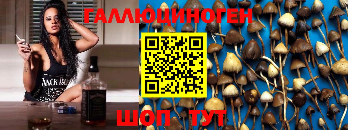 Бузулук  Галлюциногенные грибы ЛСД  Вход с VPN 
