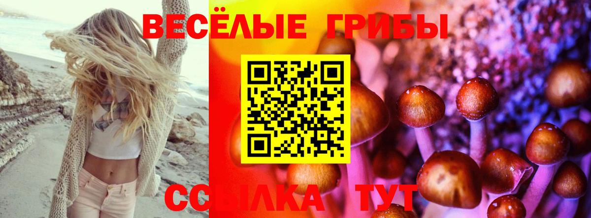 Галлюциногенные грибы GOLDEN TEACHER Бузулук